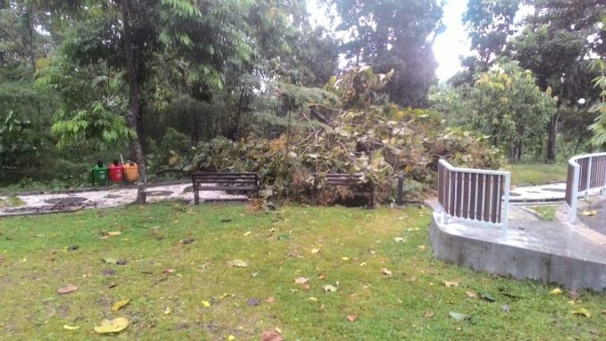 Hujan Lebat Disertai Angin Kencang Rusak Sejumlah Sarpras