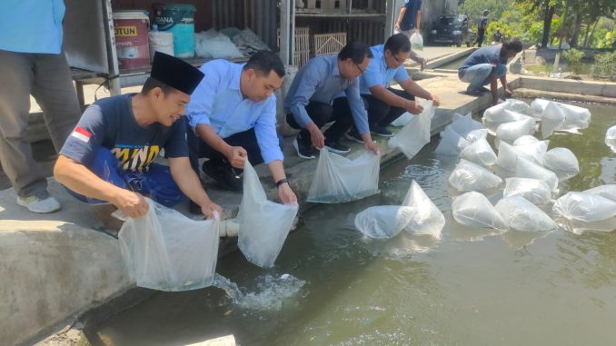Kelompok Pembudidaya Ikan Minadadi Terima Bantuan Bibit dan Perlengkapan dari Kalurahan Caturtunggal