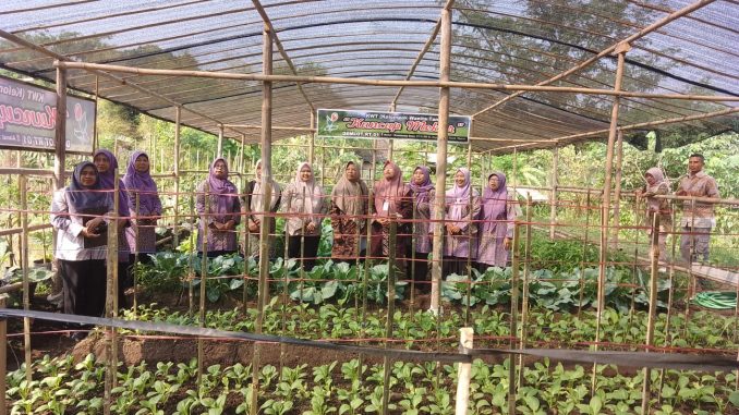 Dorong KWT Semakin Produktif, Kapanewon Depok Monev KWT Kuncup Mekar dan KWT Gemati